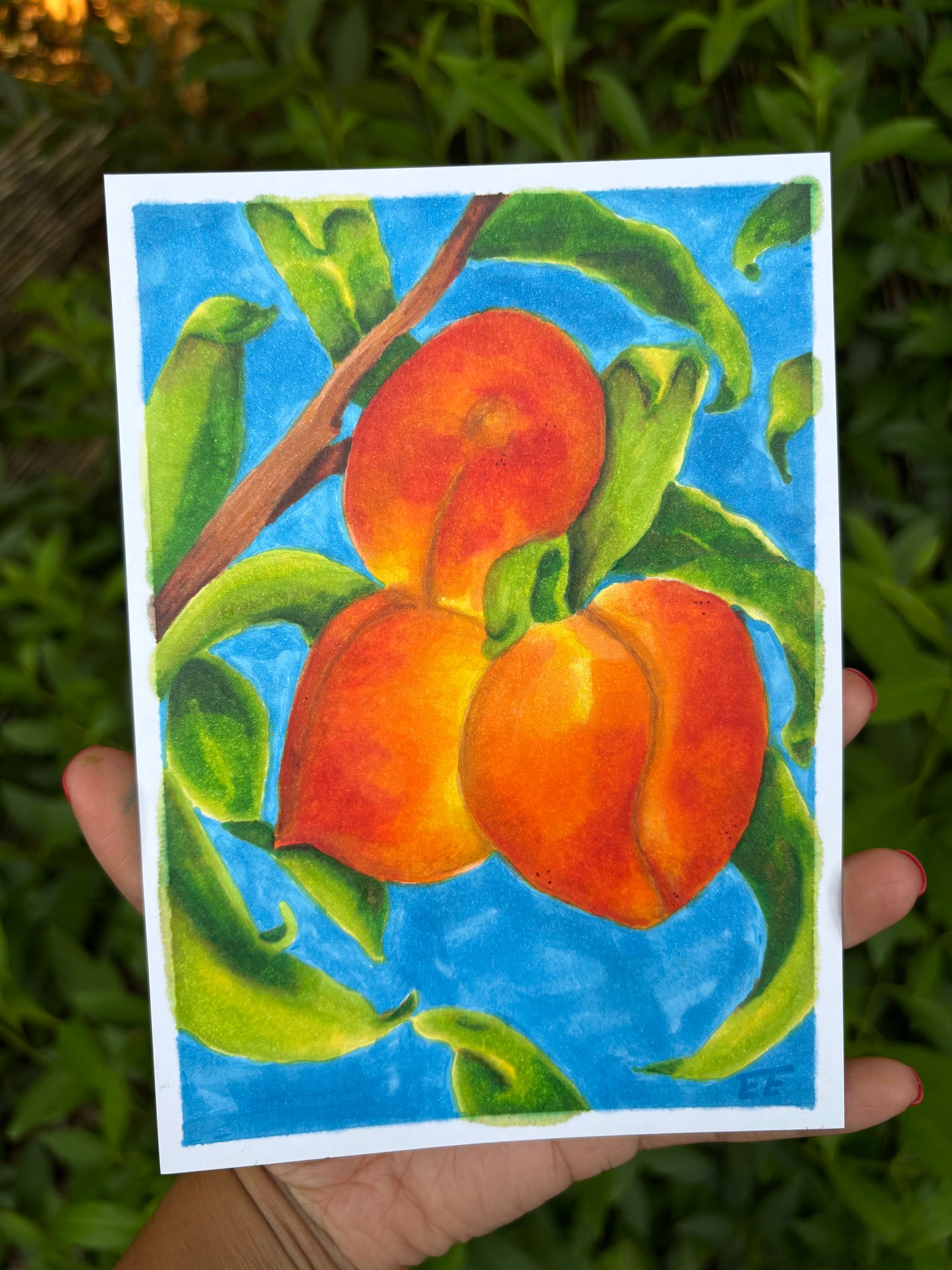 Peaches